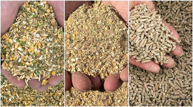 Advancing Nigeria’s Feed Industry: A Commitment to Excellence