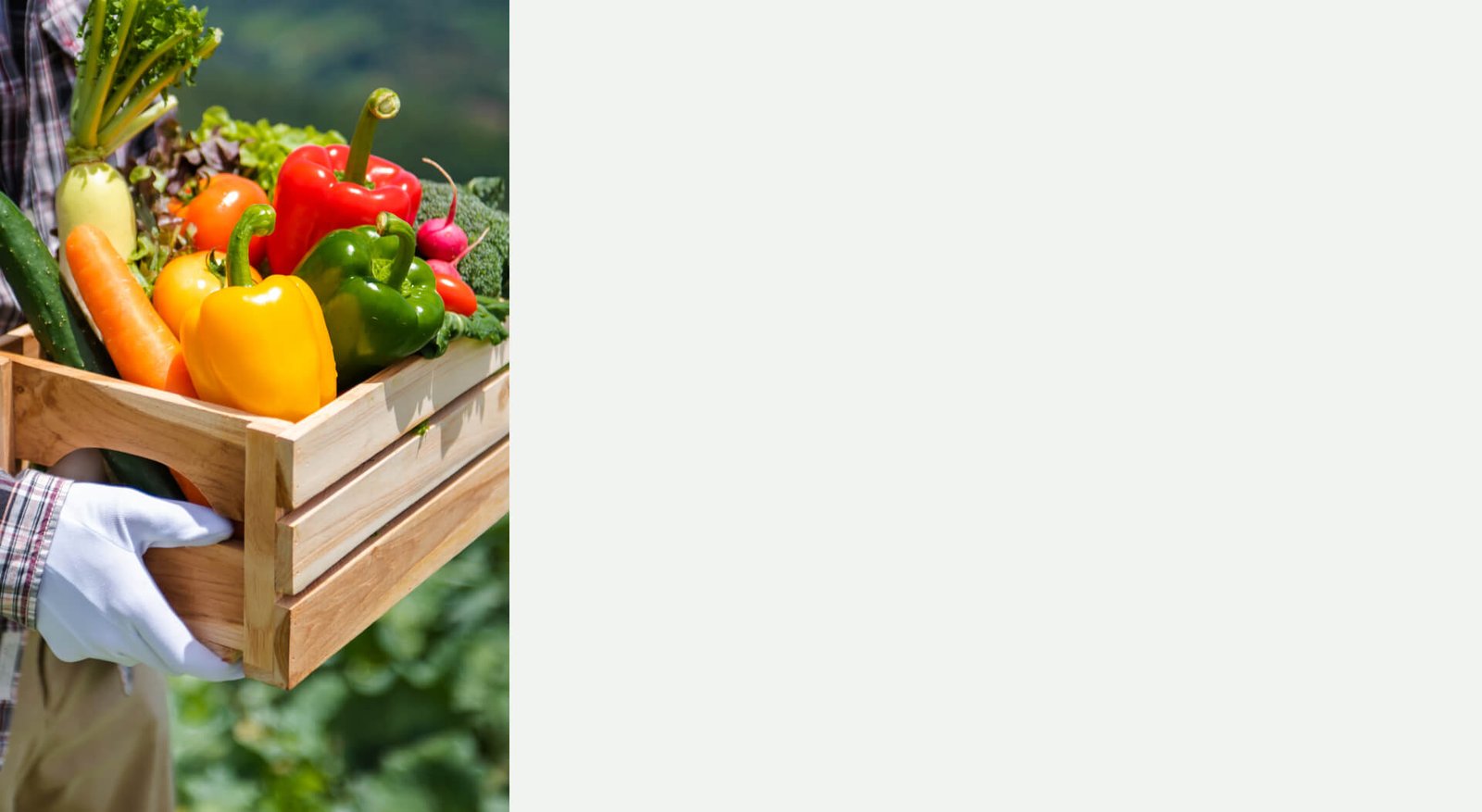 Advancing Nigeria’s Feed Industry: A Commitment to Sustainability and Growth