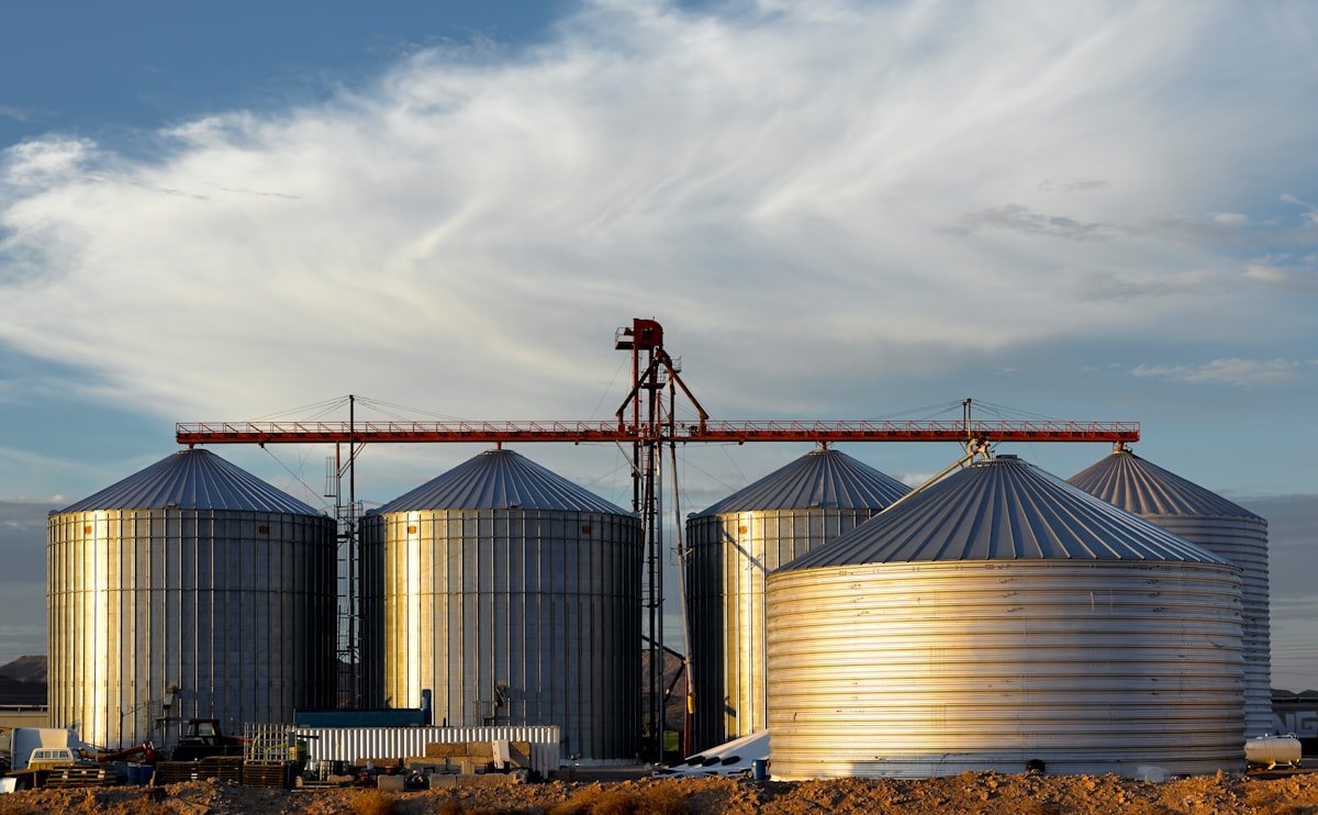 Understanding the Feed Milling Process: From Raw Materials to Finished Feed