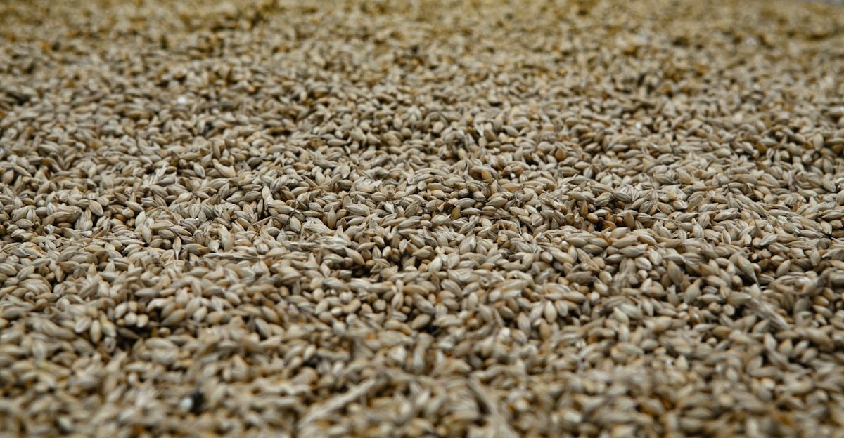 Pelleting Technology and Its Impact on Feed Quality