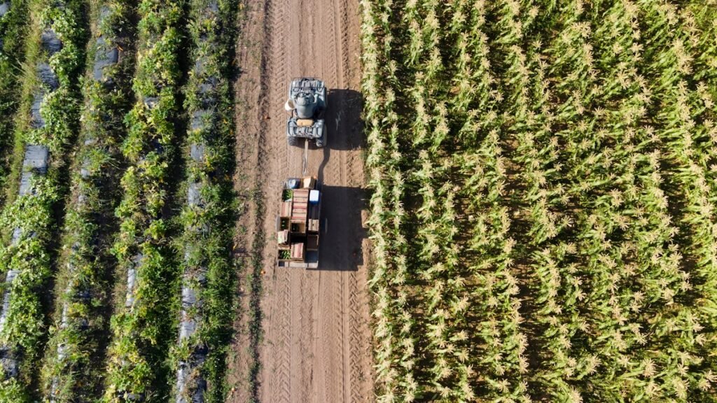 Sustainable Feed Milling: Reducing Waste and Environmental Impact